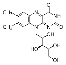 Vitamin B2 - riboflavin.png (3 KB)