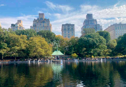 Central Park.png (355 KB)