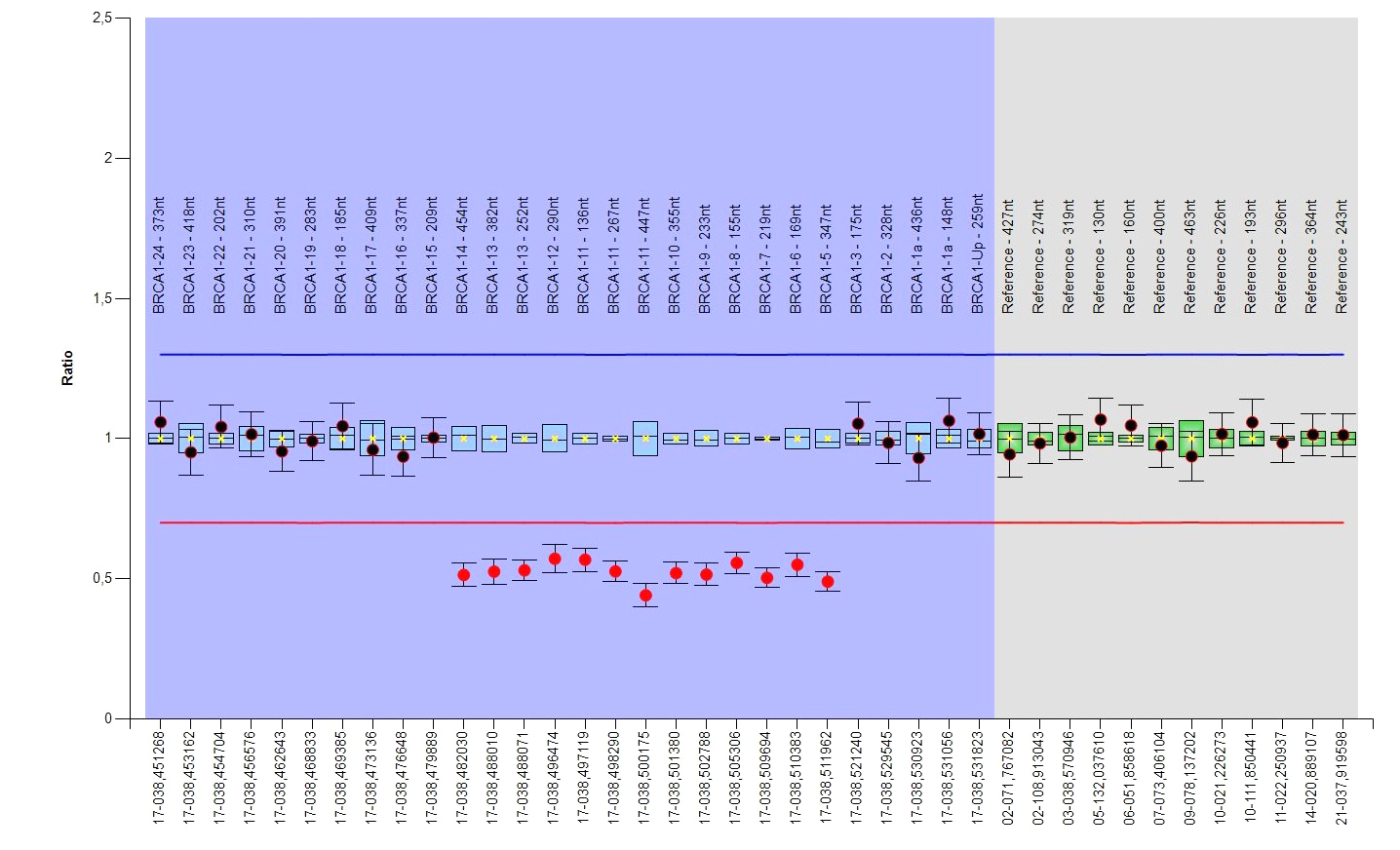 Obr. 5 pozitivni MLPA BRCA1 P002.jpg (462 KB)