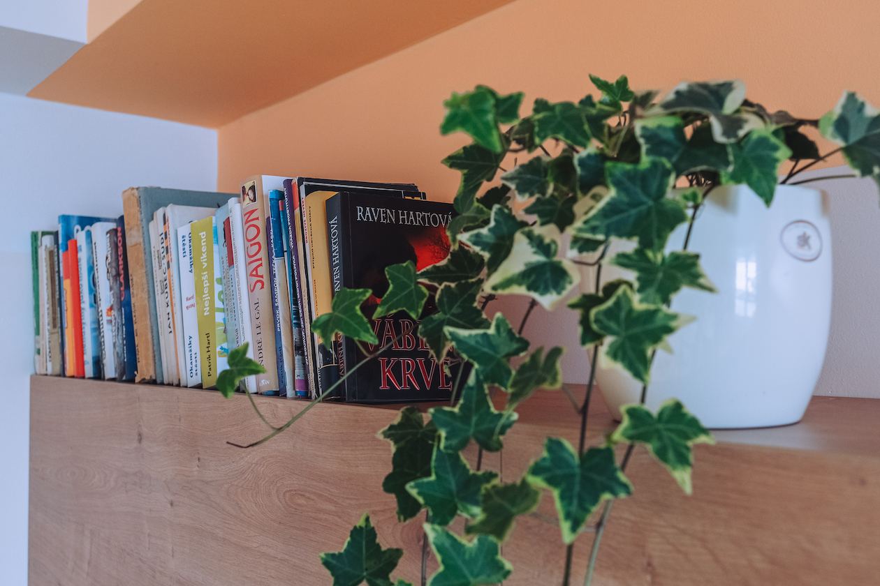 DSCF4836 .jpg (716 KB)